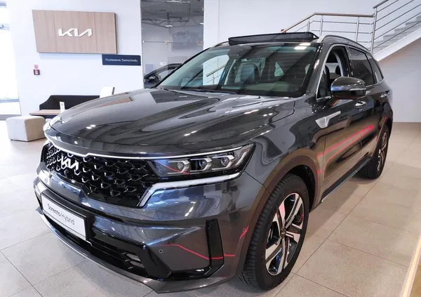 samochody osobowe Kia Sorento cena 240900 przebieg: 13, rok produkcji 2023 z Tuchów